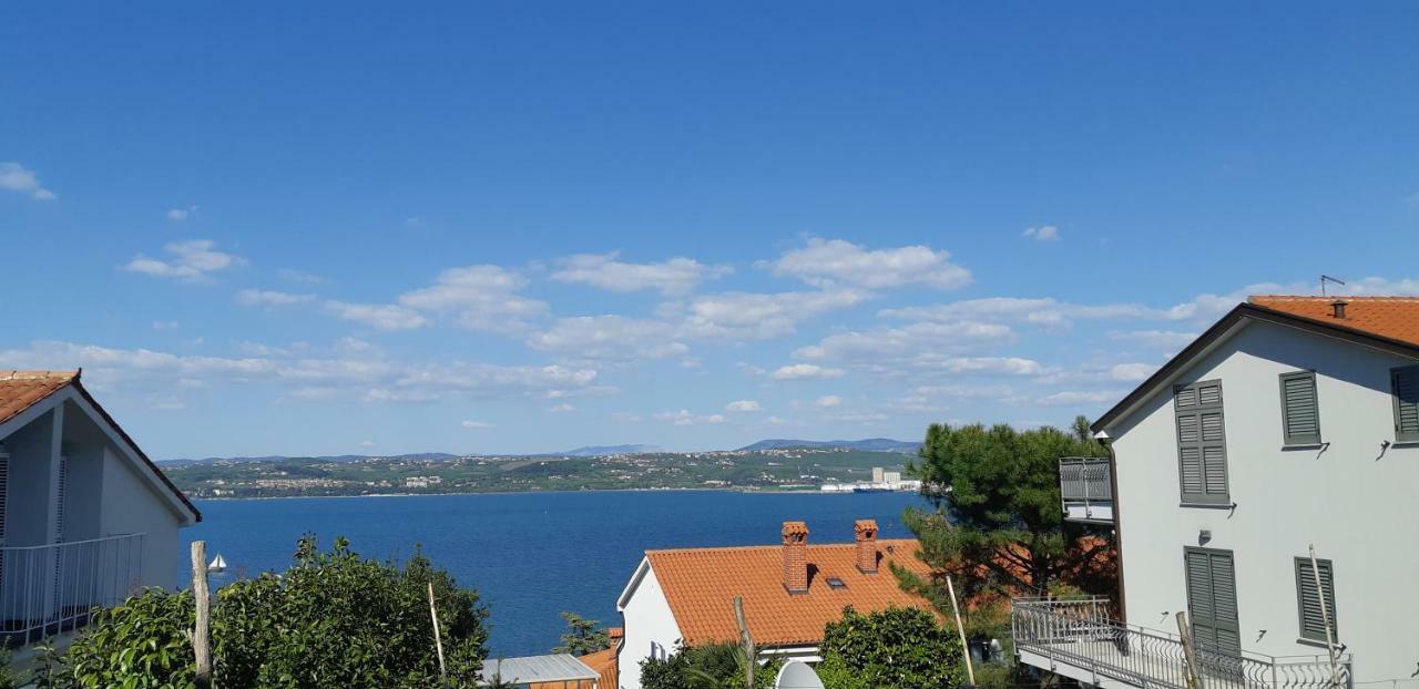 Apartma Vesna Koper városi község Kültér fotó